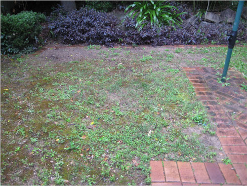 Inness Green Landscaping re-turfing